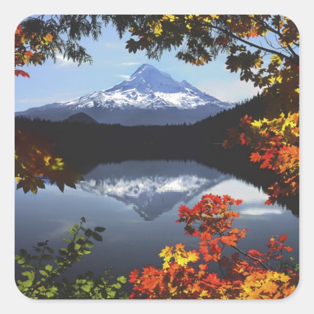 USA, Oregon, Mt. Hood National Forest. Square Sticker (Front)
