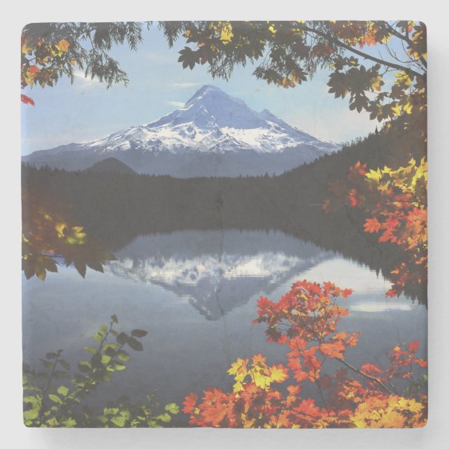 USA, Oregon, Mt. Hood National Forest. Stone Coaster (Front)