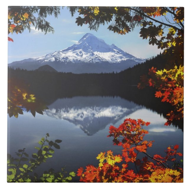 USA, Oregon, Mt. Hood National Forest. Tile (Front)