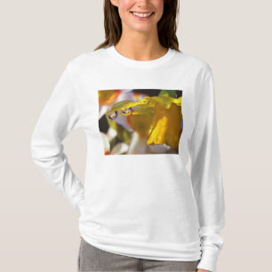 USA, Oregon, Multnomah County, Close-up of T-Shirt