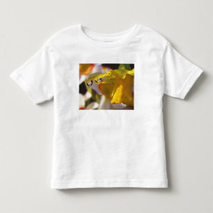USA, Oregon, Multnomah County, Close-up of Toddler T-Shirt