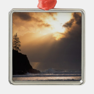 USA, Oregon, near Oswald West State Park, Late Metal Tree Decoration