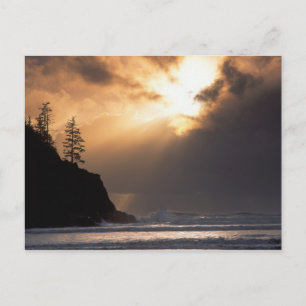 USA, Oregon, near Oswald West State Park, Late Postcard