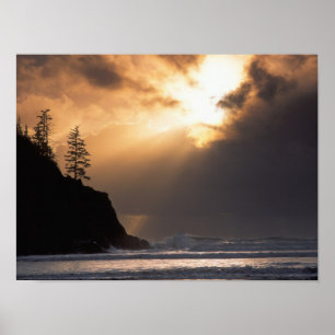 USA, Oregon, near Oswald West State Park, Late Poster