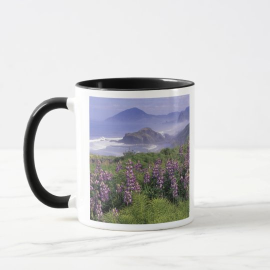 USA, Oregon, Nesika Beach. Lupine and Oregon Mug