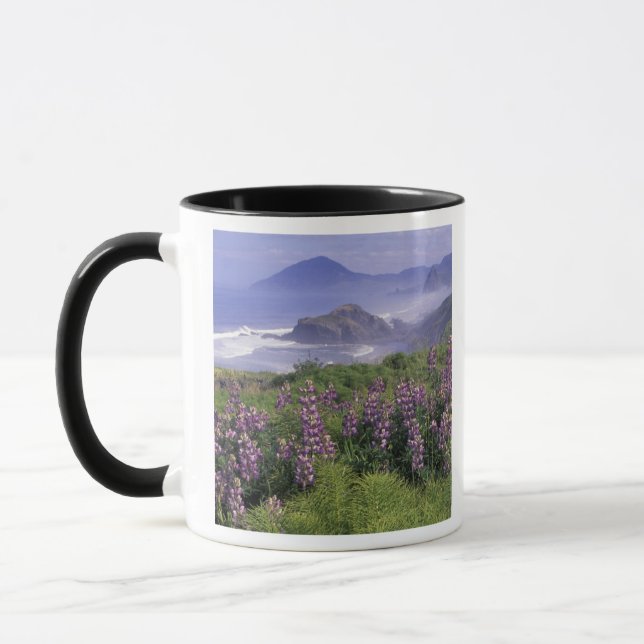 USA, Oregon, Nesika Beach. Lupine and Oregon Mug (Left)