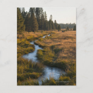 USA, Oregon, Paulina Creek Postcard