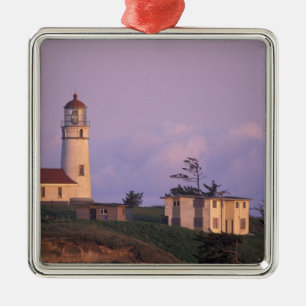 USA, Oregon, Port Orford Region, Cape Blanco Metal Tree Decoration
