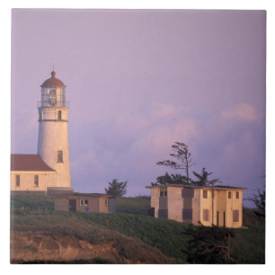 USA, Oregon, Port Orford Region, Cape Blanco Tile