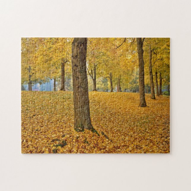 USA, Oregon, Portland. American Linden Trees Jigsaw Puzzle (Horizontal)