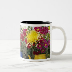 USA, Oregon, Portland. Antique enamelware Two-Tone Coffee Mug