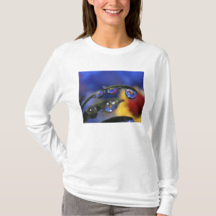 USA, Oregon, Portland, Close-up of ladybird T-Shirt
