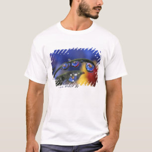 USA, Oregon, Portland, Close-up of ladybird T-Shirt