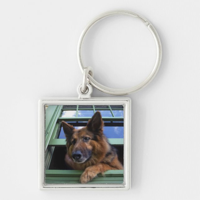 USA, Oregon, Portland. Griff the long-hair Key Ring (Front)