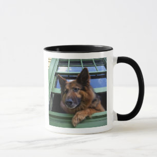 USA, Oregon, Portland. Griff the long-hair Mug