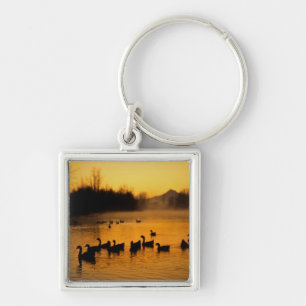 USA, Oregon, Portland. Waterfowl in Columbia Key Ring