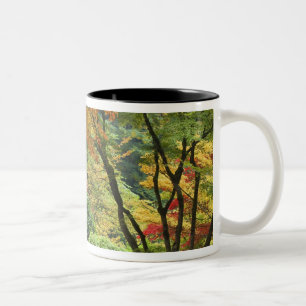 USA, Oregon, Portland. Wooden bridge and maple Two-Tone Coffee Mug