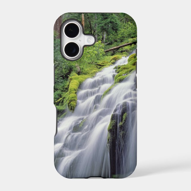 USA, Oregon, Proxy Falls. Proxy Falls rushes (Back)