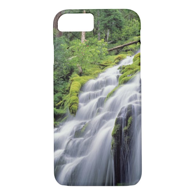 USA, Oregon, Proxy Falls. Proxy Falls rushes Case-Mate iPhone Case (Back)