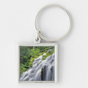 USA, Oregon, Proxy Falls. Proxy Falls rushes Key Ring