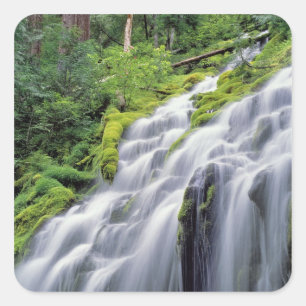 USA, Oregon, Proxy Falls. Proxy Falls rushes Square Sticker