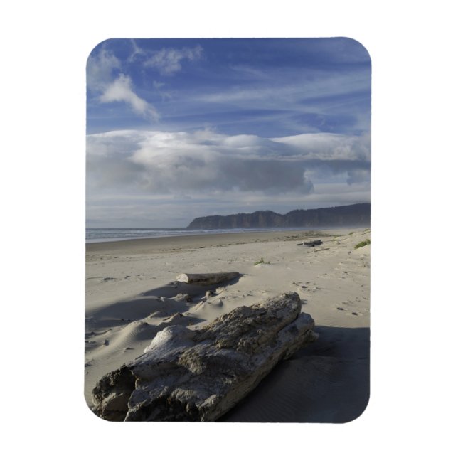 USA, Oregon, Sand Dunes and Ocean, Pacific City Magnet (Vertical)