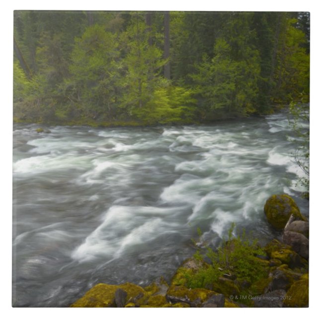 USA, Oregon, Scenic view of Santiam River Tile (Front)