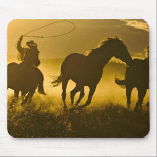 USA, Oregon, Seneca, Ponderosa Ranch. Mouse Mat