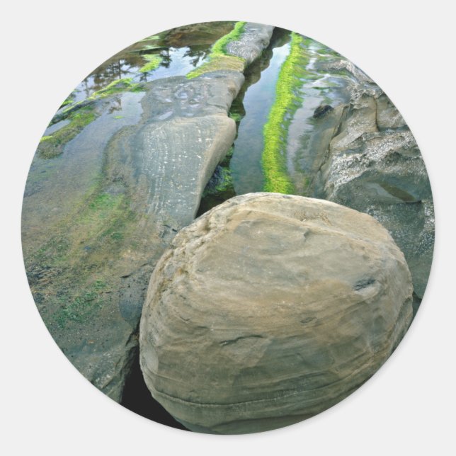 USA, Oregon, Shore Acres State Park Classic Round Sticker (Front)