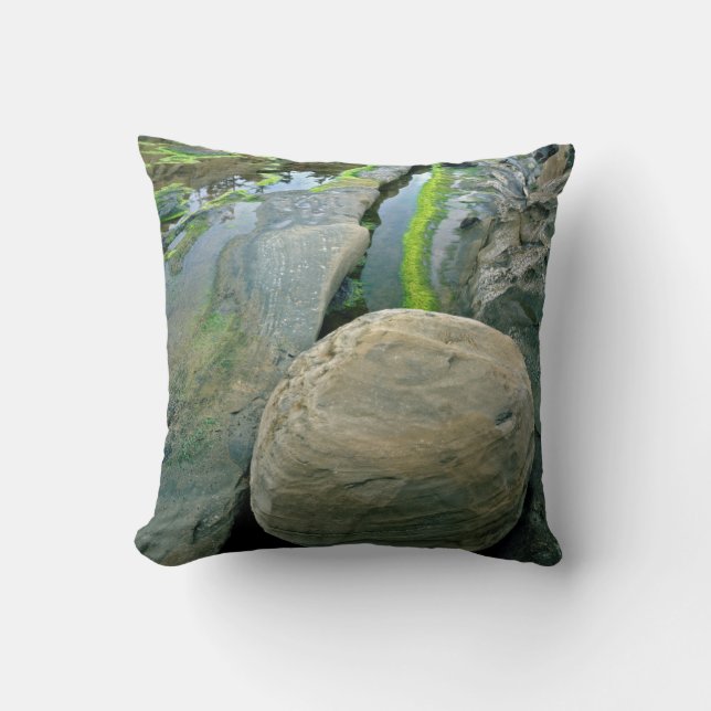 USA, Oregon, Shore Acres State Park Cushion (Front)