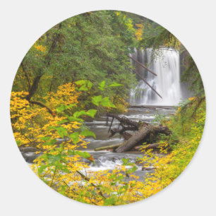 USA, Oregon, Silver Falls State Park 2 Classic Round Sticker