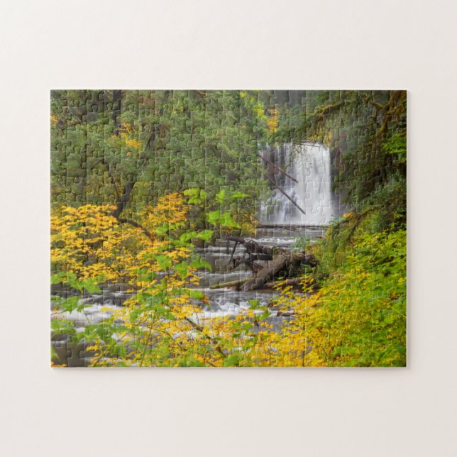 USA, Oregon, Silver Falls State Park 2 Jigsaw Puzzle (Horizontal)
