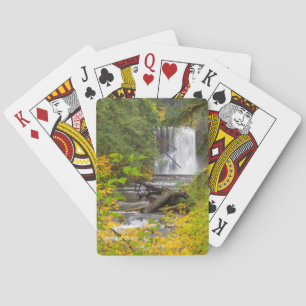 USA, Oregon, Silver Falls State Park 2 Playing Cards