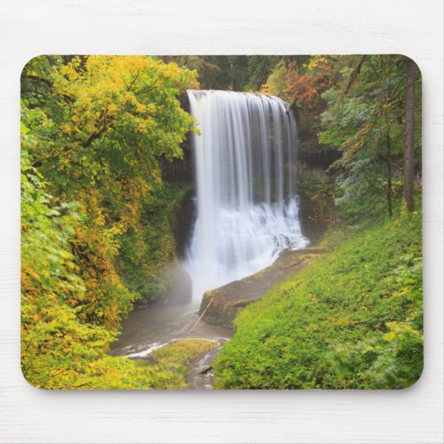 USA, Oregon, Silver Falls State Park 3 Mouse Mat (Front)