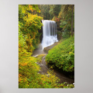 USA, Oregon, Silver Falls State Park 3 Poster