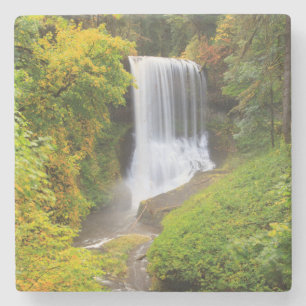 USA, Oregon, Silver Falls State Park 3 Stone Coaster