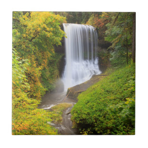 USA, Oregon, Silver Falls State Park 3 Tile