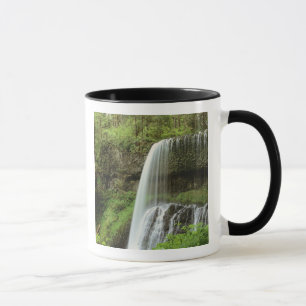 USA, Oregon, Silver Falls State Park. Lower Mug