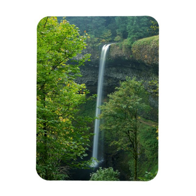 USA, Oregon, Silver Falls State Park Magnet (Vertical)