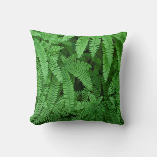 USA, Oregon, Silverton. Maidenhair Ferns Cushion