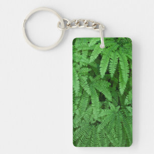 USA, Oregon, Silverton. Maidenhair Ferns Key Ring