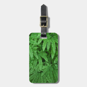 USA, Oregon, Silverton. Maidenhair Ferns Luggage Tag