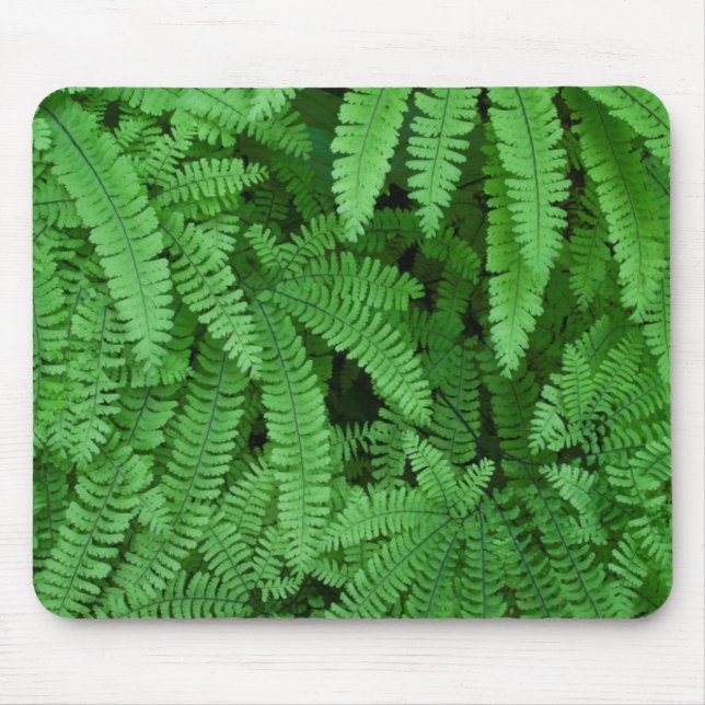 USA, Oregon, Silverton. Maidenhair Ferns Mouse Mat (Front)