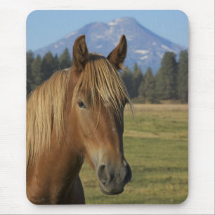 USA, Oregon, Sisters, view of Three Sisters, Mouse Mat