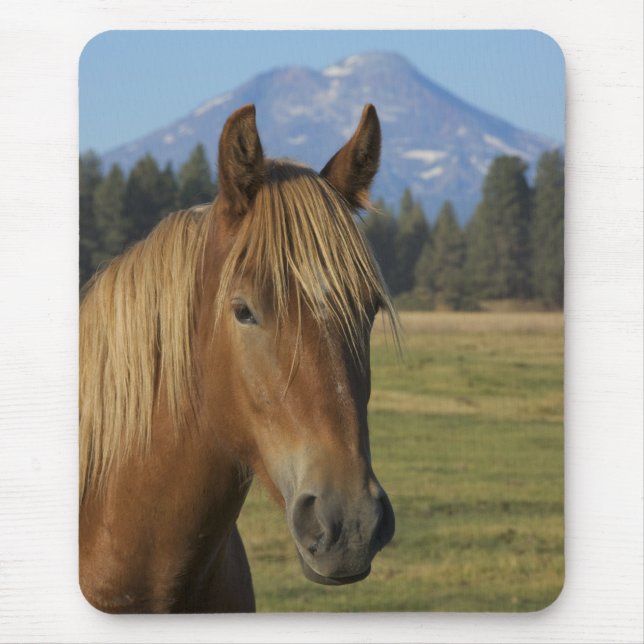 USA, Oregon, Sisters, view of Three Sisters, Mouse Mat (Front)