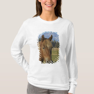 USA, Oregon, Sisters, view of Three Sisters, T-Shirt