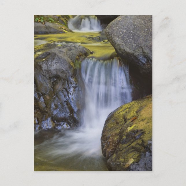 USA, Oregon, small waterfall Postcard (Front)