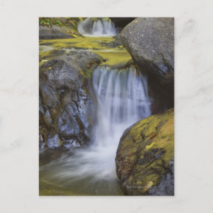 USA, Oregon, small waterfall Postcard