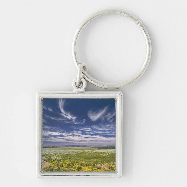 USA, Oregon, Steens Mountain. Spring burgeons Key Ring (Front)