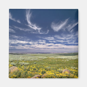 USA, Oregon, Steens Mountain. Spring burgeons Magnet